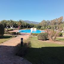 IMG20240406103436