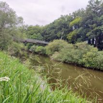 IMG 20240606 WA0011(1)