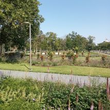 IMG20240803104313