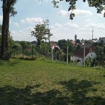 IMG20240803115125