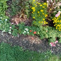 IMG20240803132937