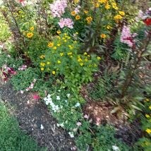 IMG20240803132939
