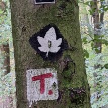 Foto von margretbrebaum(3)