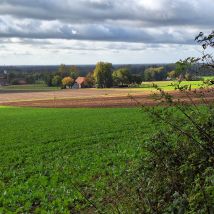 Foto von margretbrebaum(6)