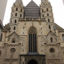 IMG 9748 (600x800)
