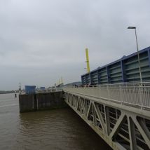 DSC00349