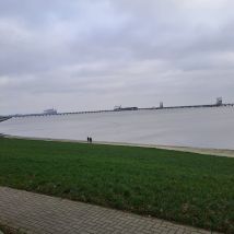 IMG 20250103 WA0008
