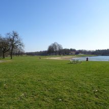 DSC00387