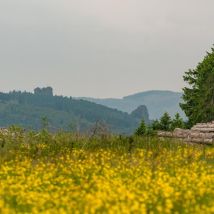 20250610 A7C05743