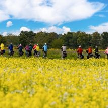 20250922 7CR07301 Bearbeitet