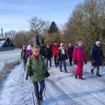 IMG 20260111 110406040(1)