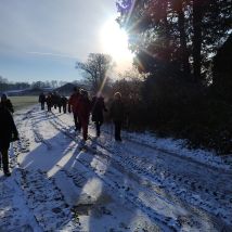 IMG 20260111 111847412 HDR (1)(1)