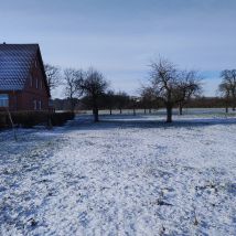 IMG 20260111 120959910(1)