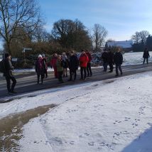 IMG 20260111 122119778(1)