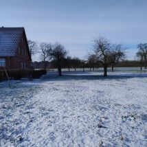 IMG 20260111 120959910