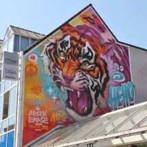 IMG 0761 (1)