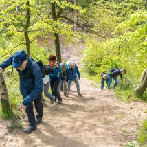 Dammer Berge 02