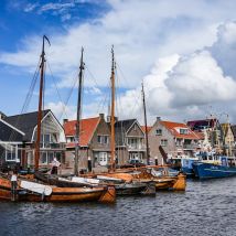 Gierhoorn 02