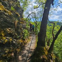 Pfingsten 36