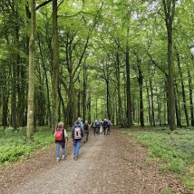 Baumberge 03
