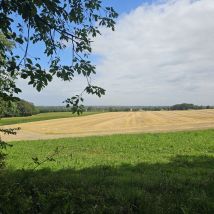 Baumberge 06
