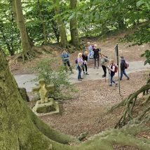 Baumberge 10