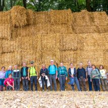 Baumberge 16